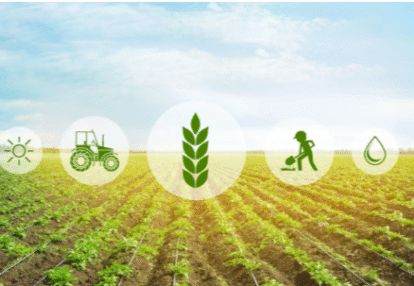 How Technology Is Revolutionizing Agriculture