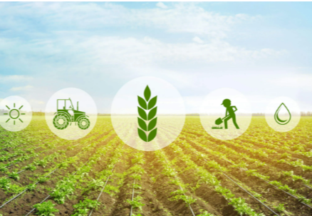 How Technology Is Revolutionizing Agriculture